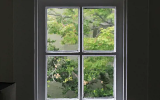 A window with trees outside.