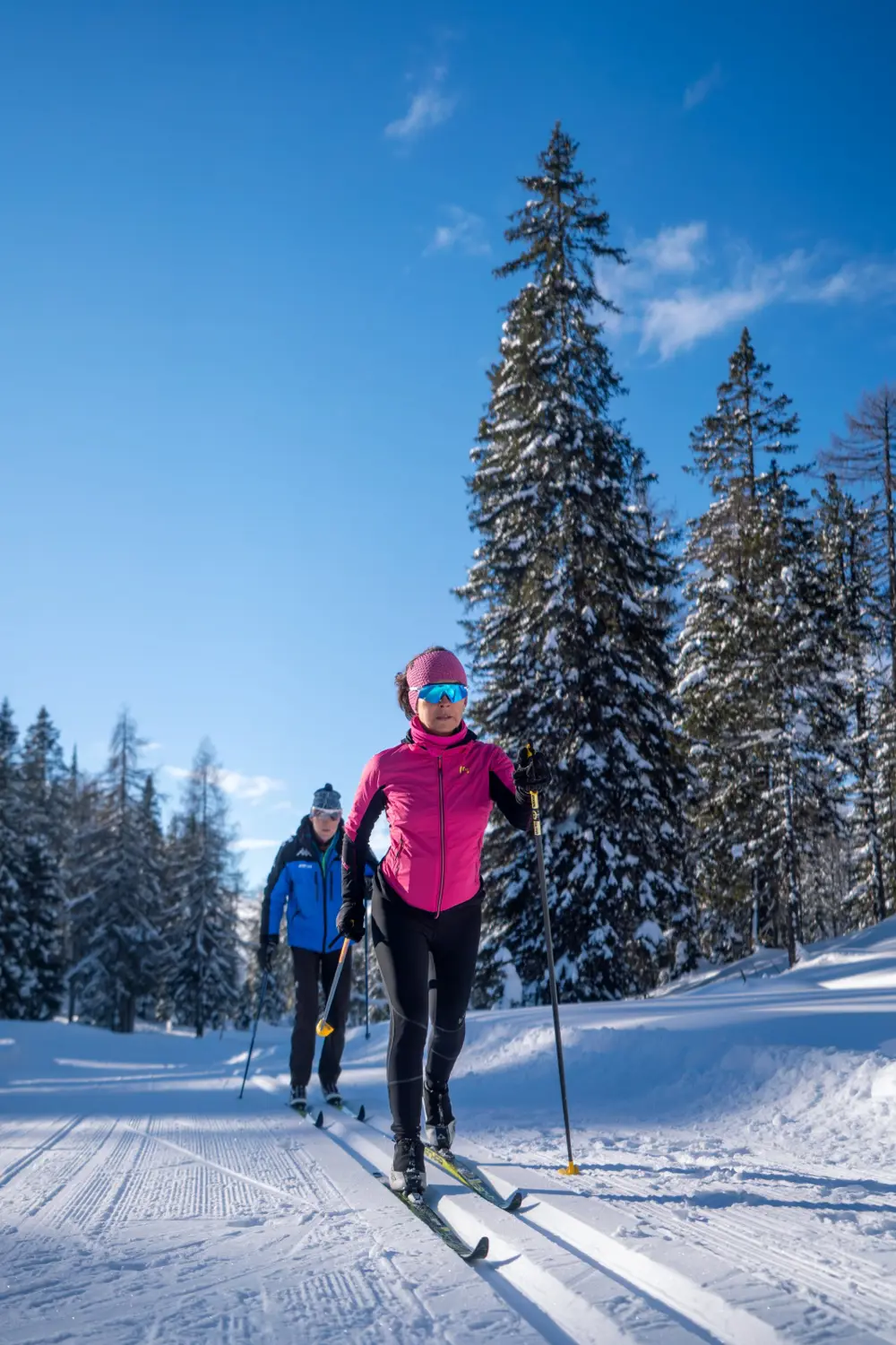 Two cross‑country skiers move along a groomed snowy trail through a forest of tall, snow‑covered trees under a clear blue sky.