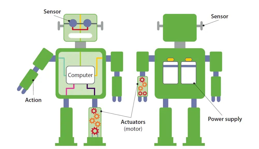 A labelled schematic of a robot from the front (left) and the back (right). The robot has 'eyes' and 'ears' labelled as sensors, with arms and legs containing actuators, i.e. motors, that carry out actions. It has a power supply on its back. 