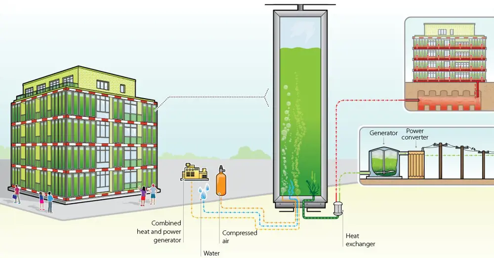 A schematic showing how the biomass and heat generated can be used to heat the building or store heat.