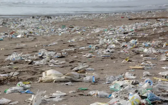 Plastic waste covering a beach.
