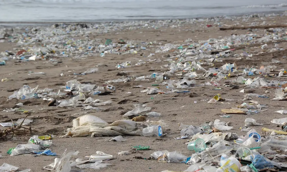 Plastic waste covering a beach.