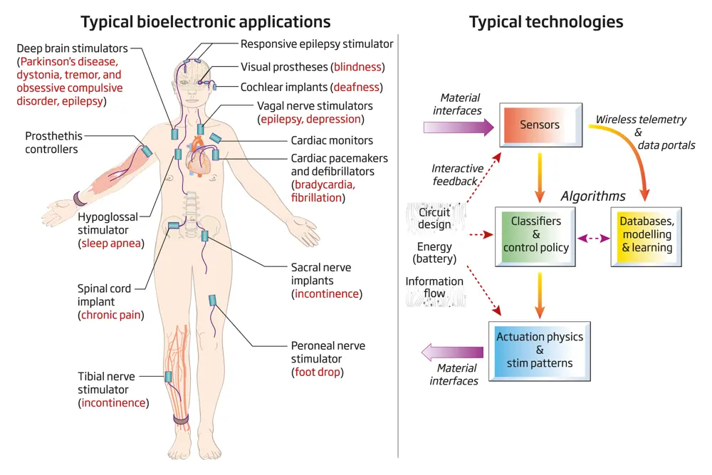 A schematic showing a labelled human body with different bioelectronic applications for various body parts (left) and the different technologies, such as sensors and databases that are used to interface with the nervous system and materials (right).