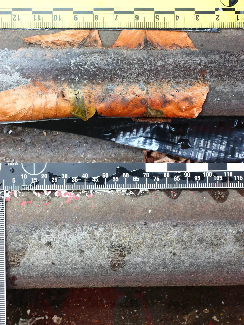 A rail track with leaves on it (top) and a clean rail track (bottom) with a 115 millimetre ruler for scale.