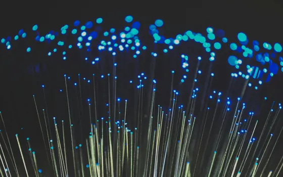 Fiber optic light cables with red hue on black background.