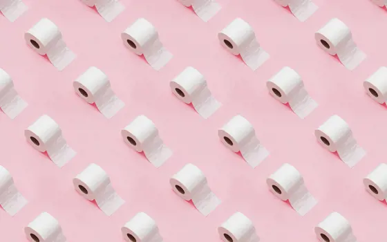 An array of toilet rolls on a pink surface.