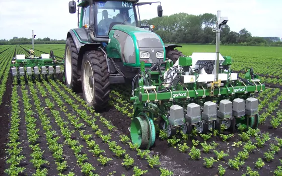 A tractor in a field of linearly planted crops, attached to a Garford Robocrop automatic hoe system, which is aligned with the spacing of the crops.