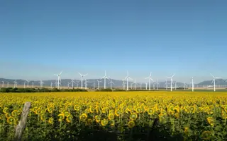 A wind turbine with fields of sunflowers in front of it
