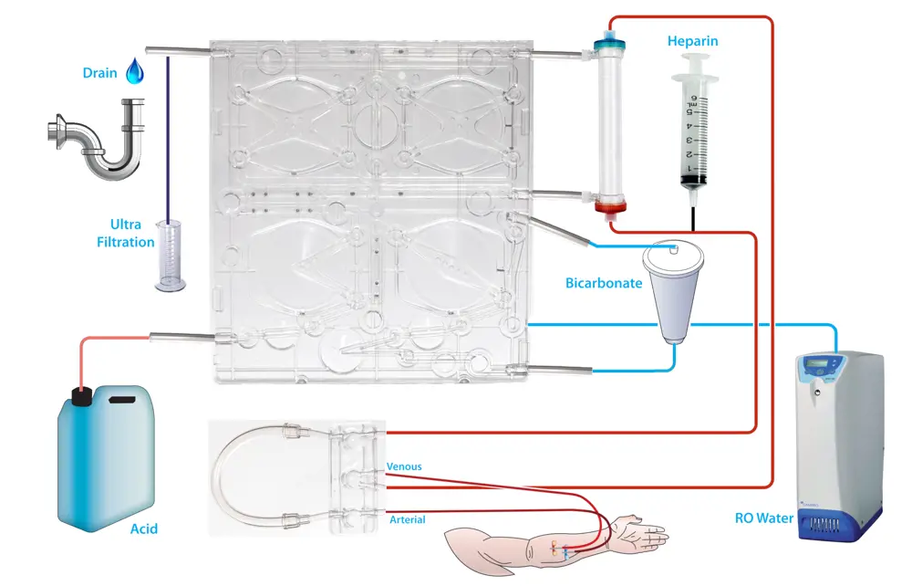 A schematic of an SC+ haemodialysis machine 