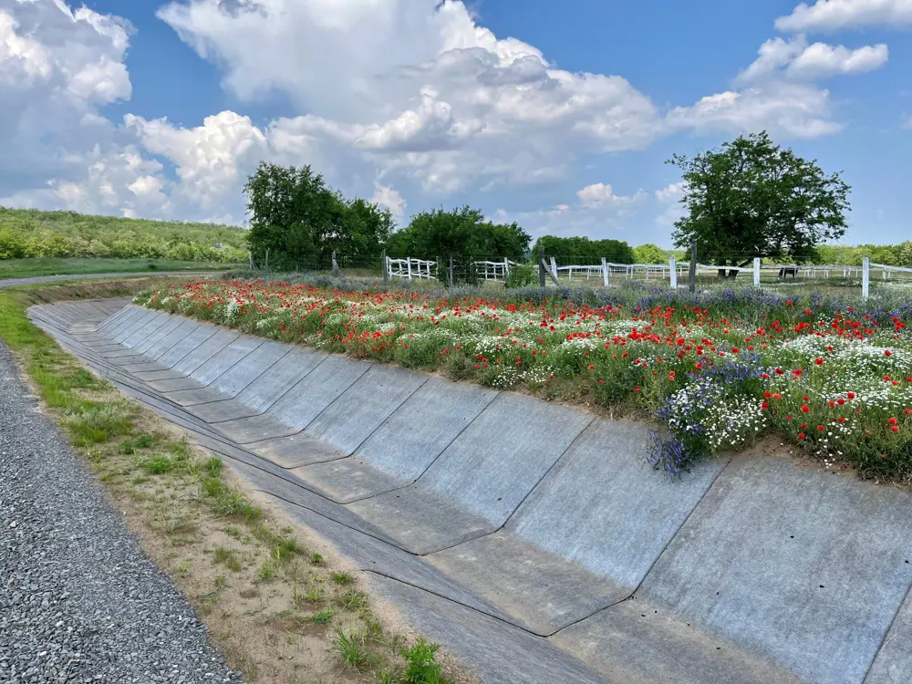 Concrete Canvas lining a drainage channel beside a wildflower meadow, with red, white and purple flowers growing along the channel edge in a rural landscape.