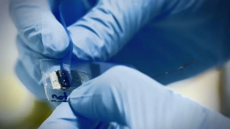 Scotch Tape containing rectangular graphene being held by two glove-wearing hands.