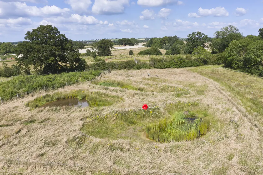 A photograph of a field on a sunny day with three ponds.