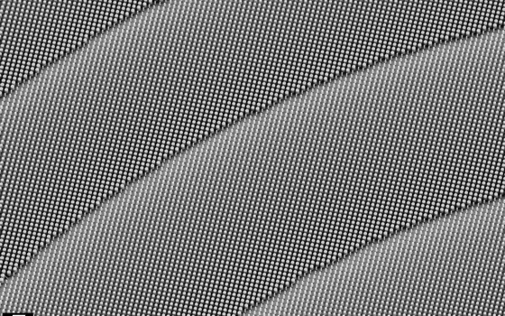 A closeup of a metalens from a scanning electron microscope with four rows of diagonally facing pillars shown. A small bar in the bottom left shows a scale of 1 micrometer.