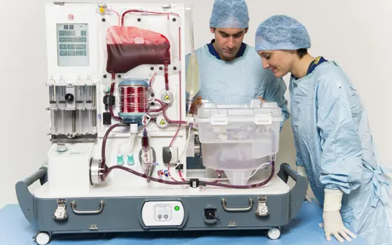 Two medical professionals wearing scrubs looking at a transplant liver in the OrganOx machine. Oxygenated and deoxygenated blood tubing are supplying blood to the liver.