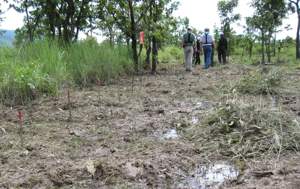 A muddy field with puddles of water on the floor, and thick grass and shrubbery in the background, with people walking through the field in the distance. 