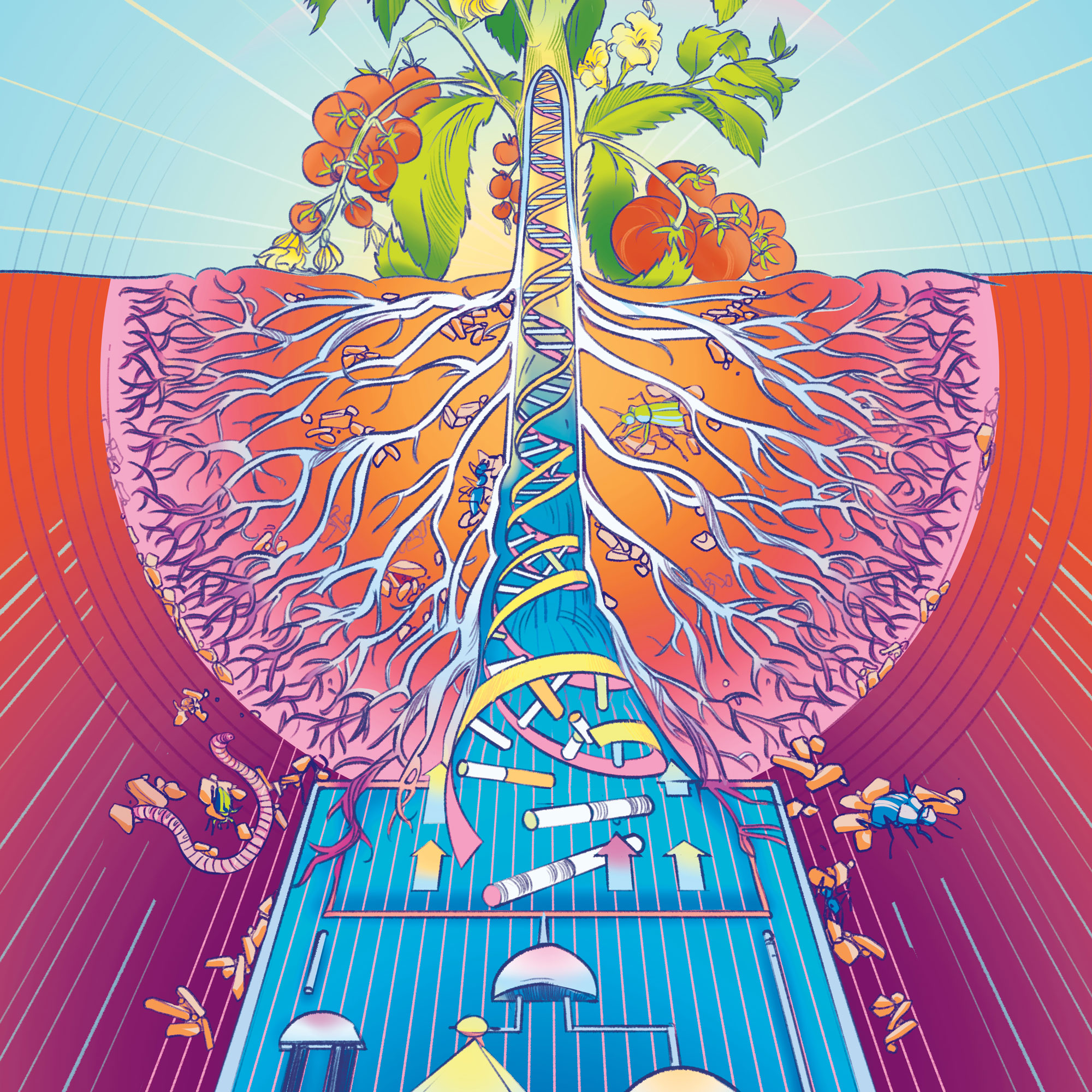 Colourful illustration showing a plant above ground with its root system below, intertwined with DNA strands, insects moving in the soil and a representation of circuit diagrams.