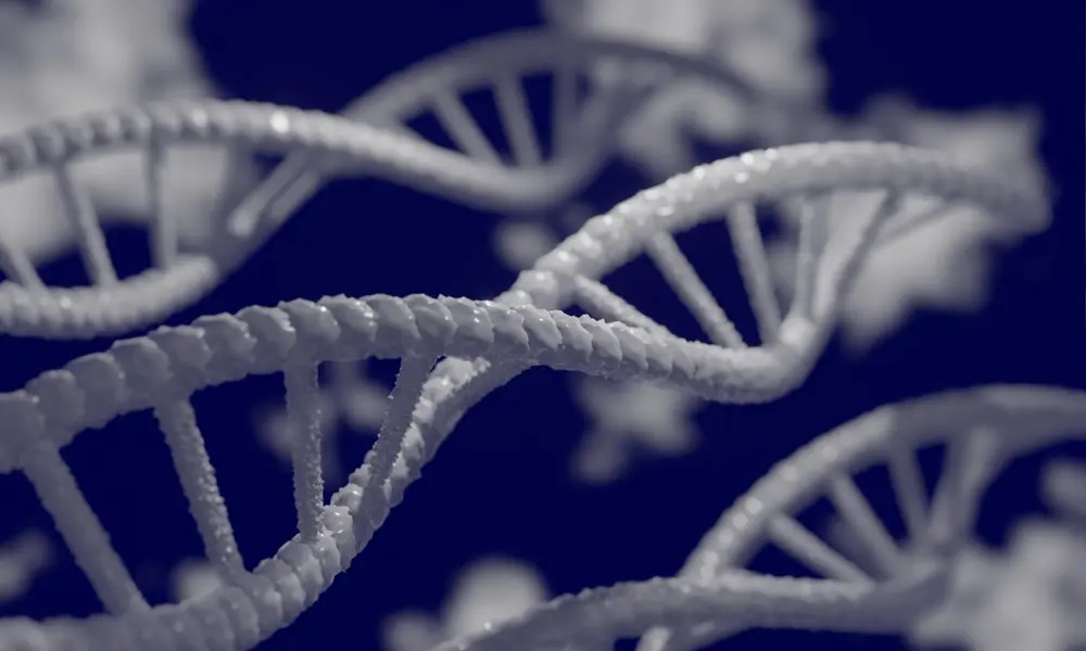 A 3D rendering of DNA ladders.