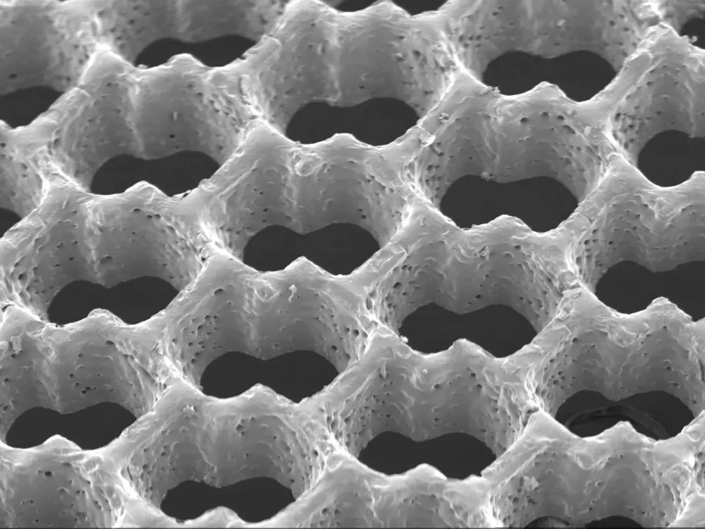Scanning electron microscope image of a honeycomb structure.