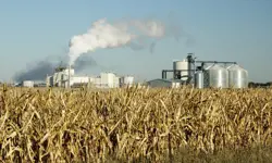 A field of wheat with a factory in the background containing silos and smoke coming out of a chimney.