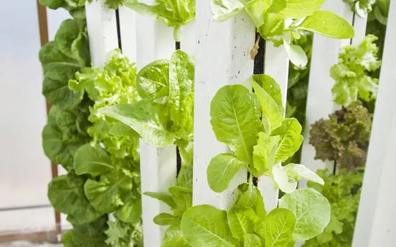 Vertical farming system.