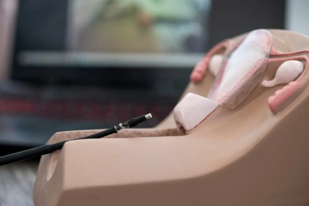 A demonstration of a millimetre-sized camera on a probe in a model of the cervix and uterus.