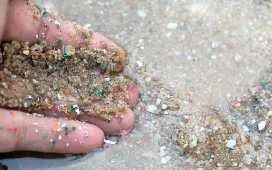 Image shows the fingers from a hand, which is slightly in water having scooped up grains of sand that contain small colourful microplastics