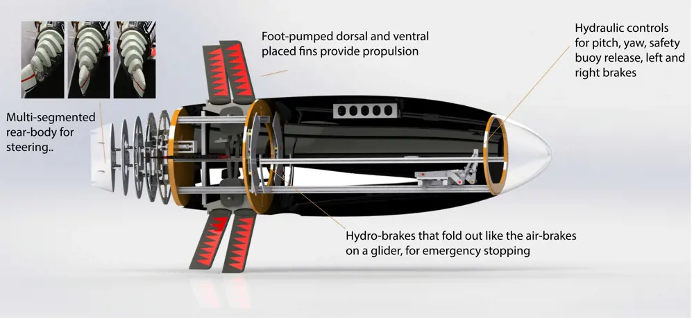 A labelled diagram of the Taniwha submarine, showing the multi-segmented rear body for steering, foot pumped dorsal and ventral placed fins for propulsion, hydro-brakes for emergency stopping and hydraulic controls for brakes and safety buoy release. 