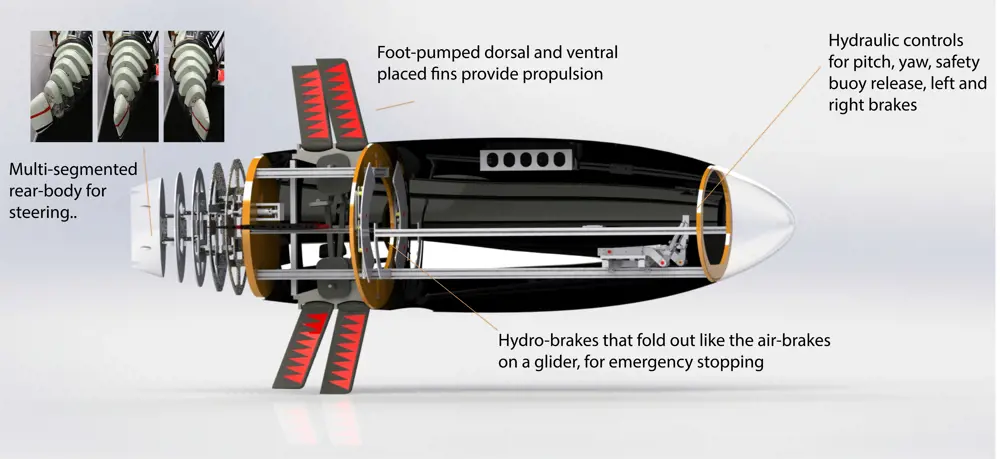A labelled diagram of the Taniwha submarine, showing the multi-segmented rear body for steering, foot pumped dorsal and ventral placed fins for propulsion, hydro-brakes for emergency stopping and hydraulic controls for brakes and safety buoy release.
